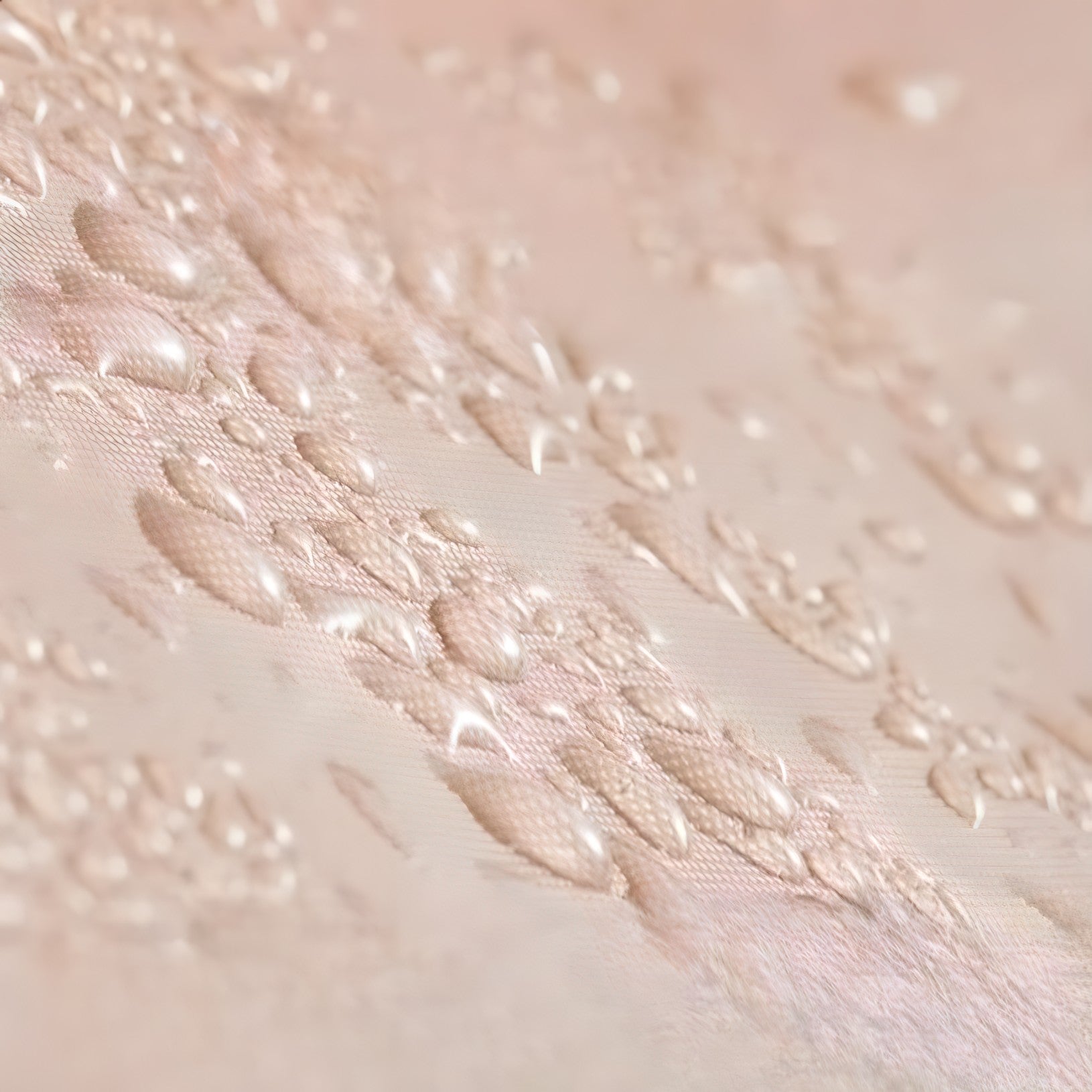 Camping Tent - 7 to 9 seats | Durable and Portable