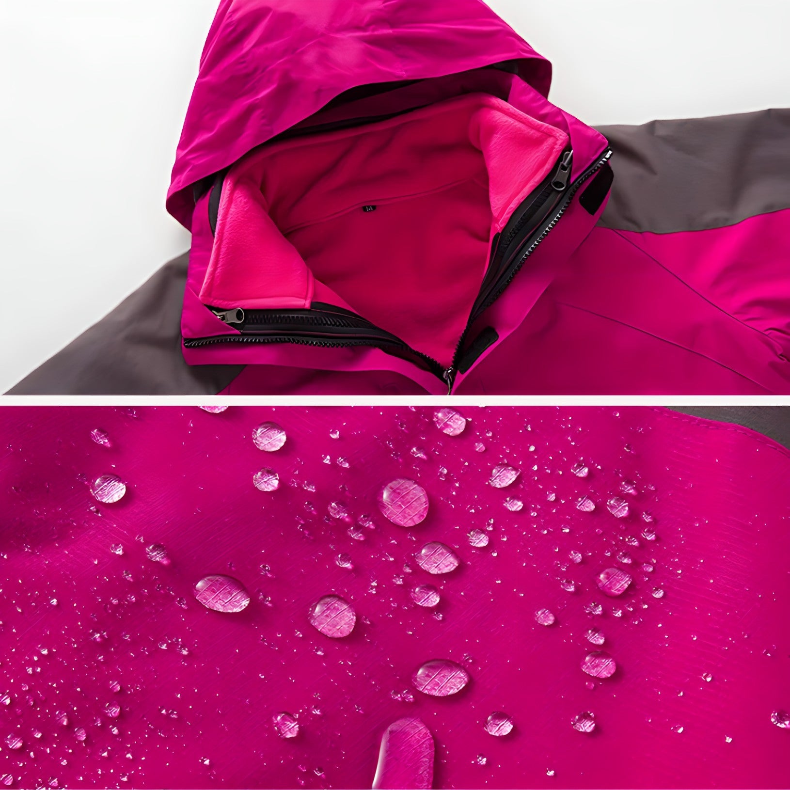 Softshell Jacket - Women | Windproof