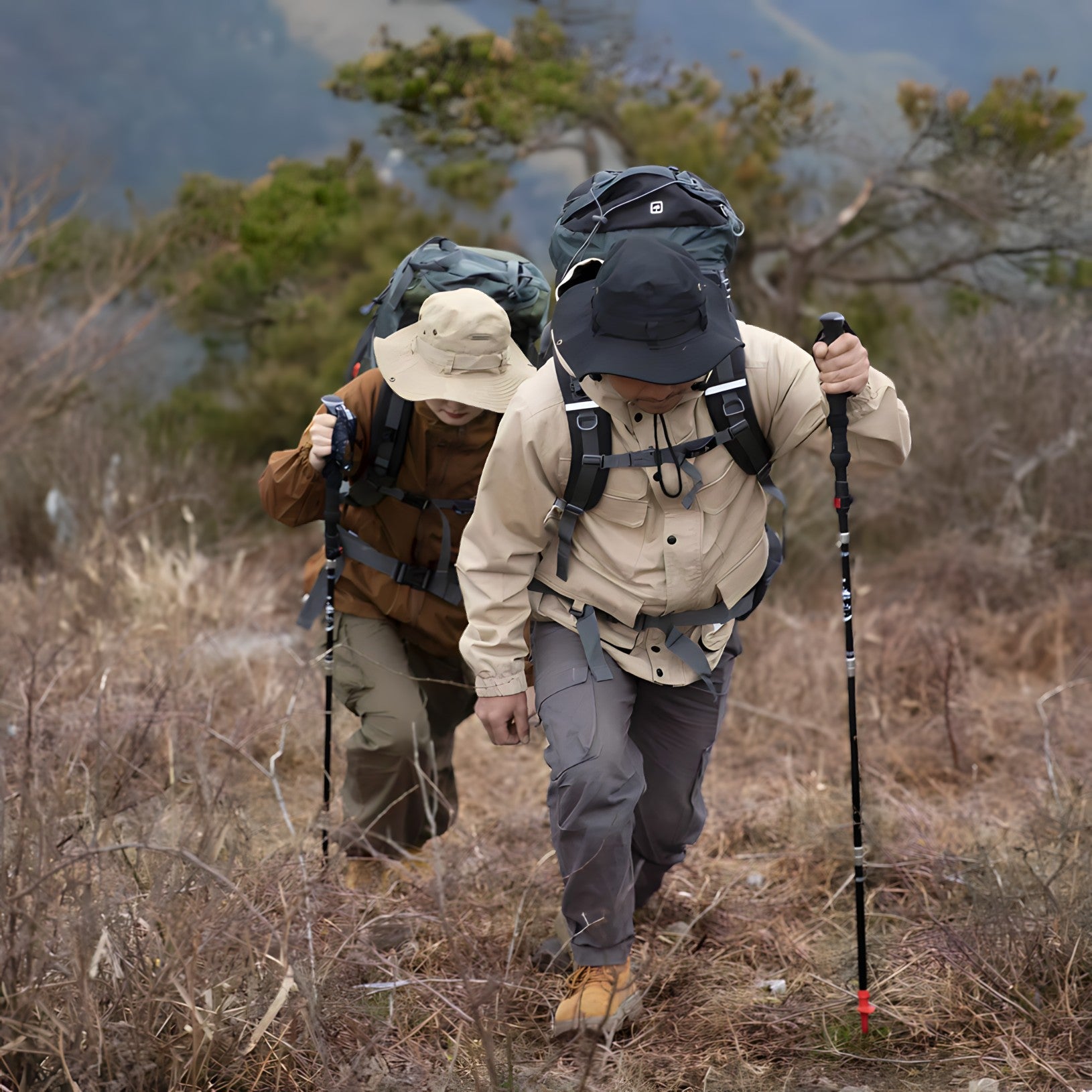 Hiking poles -  Carbon | Ultra-Compact