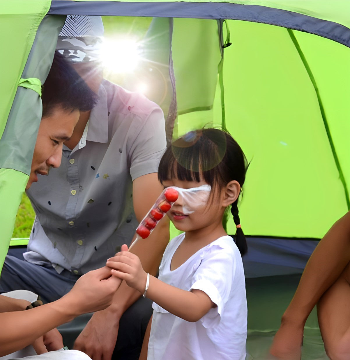 Tent - 4 people | Hiking & Trekking - All seasons